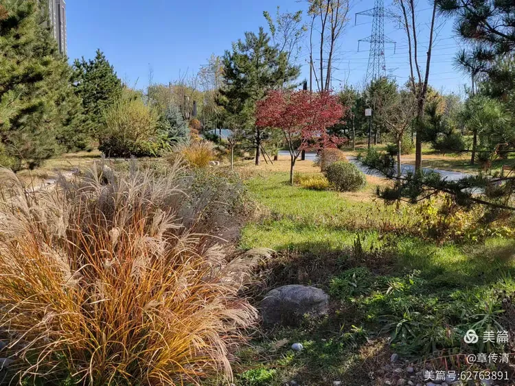 冬游曲江花影公园